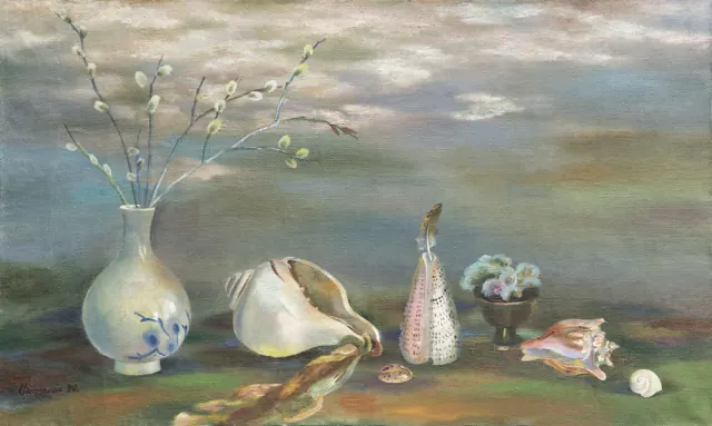 Раковины